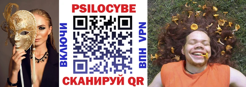Галлюциногенные грибы Psilocybe Унеча